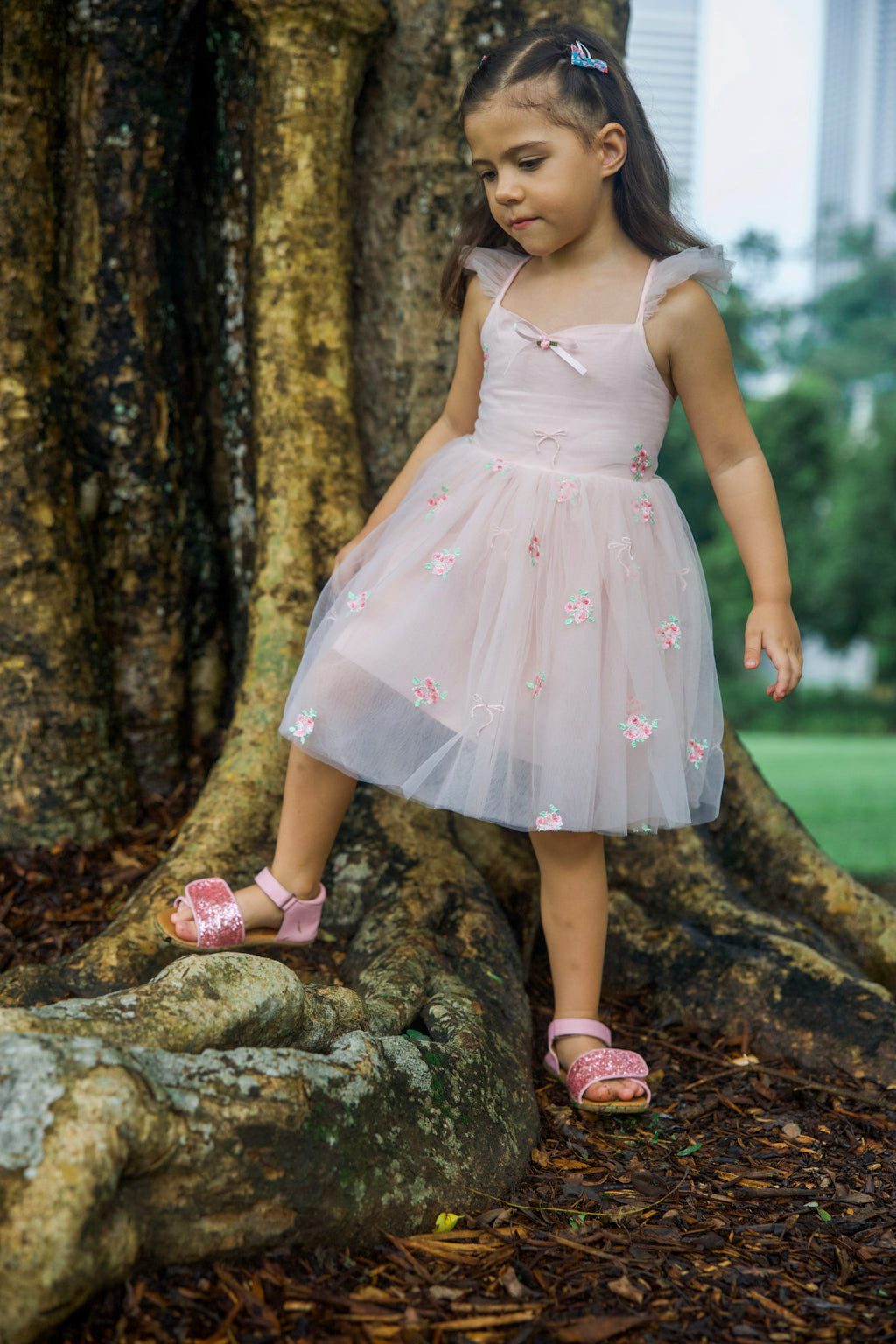 Princess Shoe